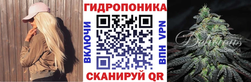 Купить закладку Кокаин  Меф  А ПВП  Конопля  ГАШ  Дмитровск