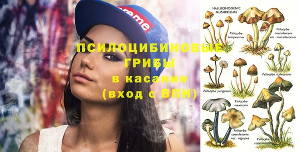 метадон Инсар
