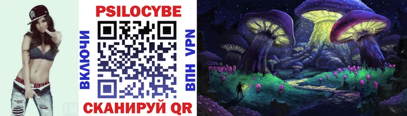 Купить  Дмитровск  Галлюциногенные грибы Cubensis 